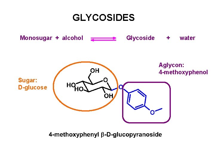 GLYCOSIDES Monosugar + alcohol Glycoside + water Aglycon: 4 -methoxyphenol Sugar: D-glucose 