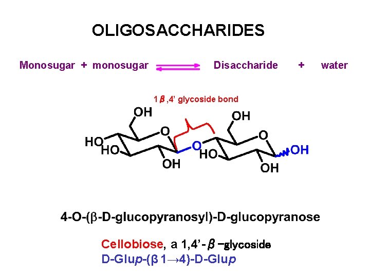 OLIGOSACCHARIDES Monosugar + monosugar Disaccharide 1β, 4’ glycoside bond Cellobiose, a 1, 4’-β-glycoside D-Glup-(β