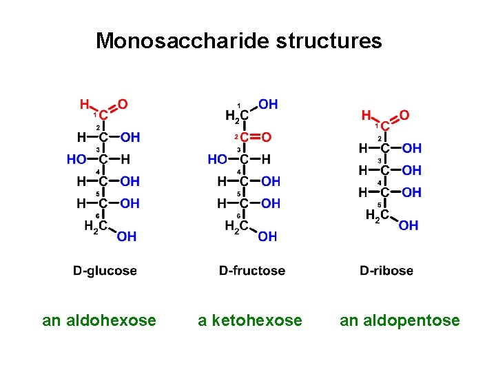 Monosaccharide structures an aldohexose a ketohexose an aldopentose Monosaccharide structures an aldohexose a ketohexose an aldopentose