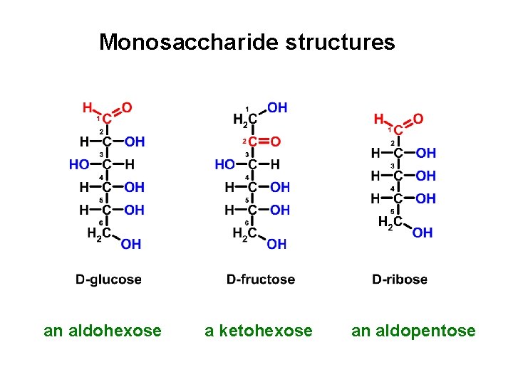 Monosaccharide structures an aldohexose a ketohexose an aldopentose 