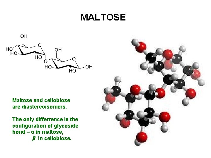 MALTOSE Maltose and cellobiose are diastereoisomers. The only differrence is the configuration of glycoside