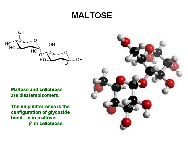 MALTOSE Maltose and cellobiose are diastereoisomers. The only differrence is the configuration of glycoside MALTOSE Maltose and cellobiose are diastereoisomers. The only differrence is the configuration of glycoside