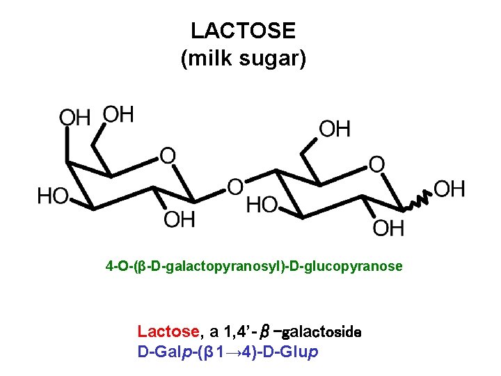 LACTOSE (milk sugar) 4 -O-(β-D-galactopyranosyl)-D-glucopyranose Lactose, a 1, 4’-β-galactoside D-Galp-(β 1→ 4)-D-Glup 