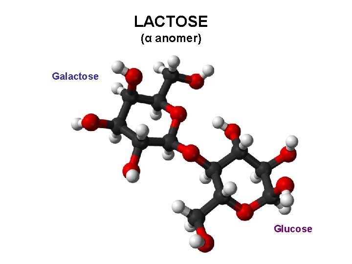 LACTOSE (α anomer) Galactose Glucose 