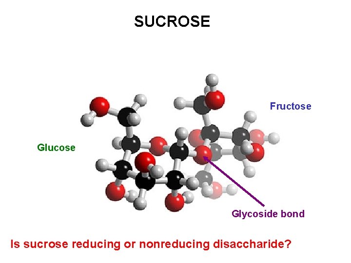 SUCROSE Fructose Glucose Glycoside bond Is sucrose reducing or nonreducing disaccharide? SUCROSE Fructose Glucose Glycoside bond Is sucrose reducing or nonreducing disaccharide?