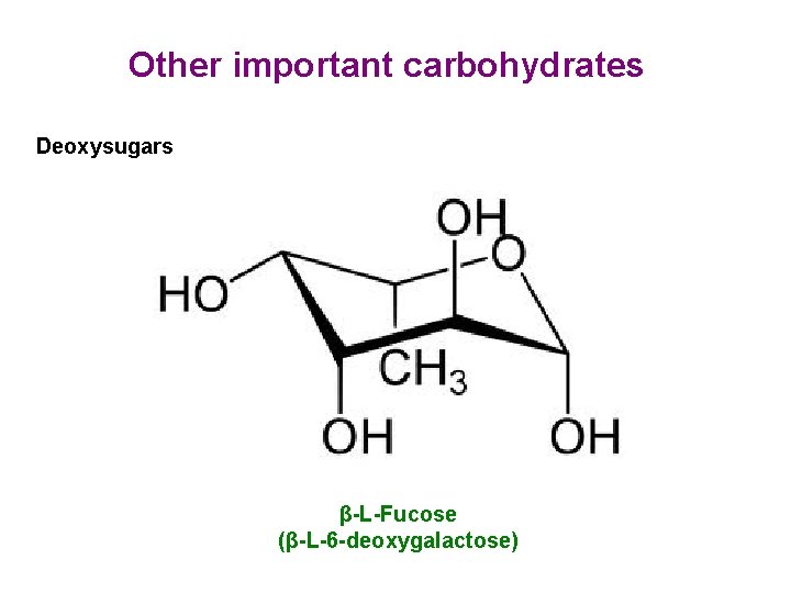 Other important carbohydrates Deoxysugars β-L-Fucose (β-L-6 -deoxygalactose) Other important carbohydrates Deoxysugars β-L-Fucose (β-L-6 -deoxygalactose)