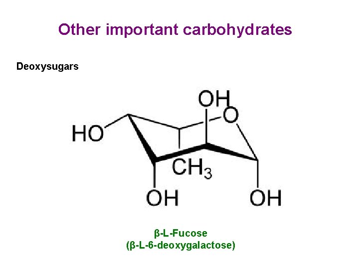 Other important carbohydrates Deoxysugars β-L-Fucose (β-L-6 -deoxygalactose) 