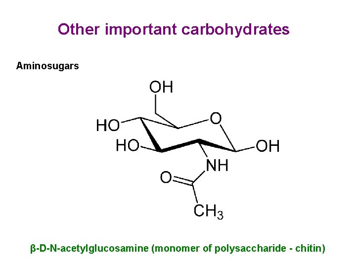 Other important carbohydrates Aminosugars β-D-N-acetylglucosamine (monomer of polysaccharide - chitin) 