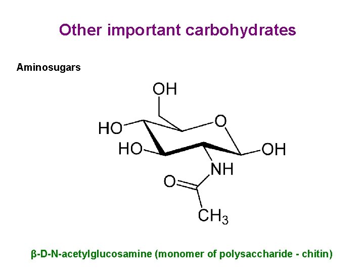 Other important carbohydrates Aminosugars β-D-N-acetylglucosamine (monomer of polysaccharide - chitin) Other important carbohydrates Aminosugars β-D-N-acetylglucosamine (monomer of polysaccharide - chitin)