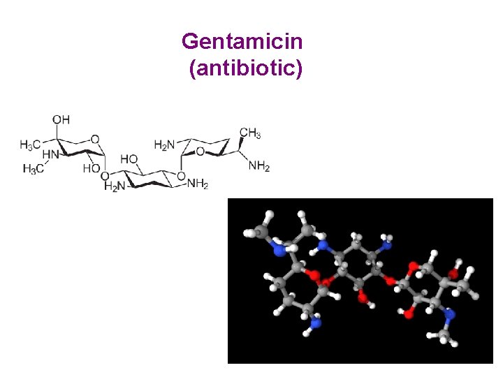 Gentamicin (antibiotic) 