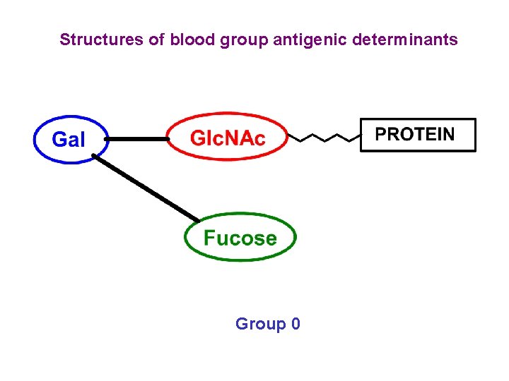 Structures of blood group antigenic determinants Group 0 Structures of blood group antigenic determinants Group 0