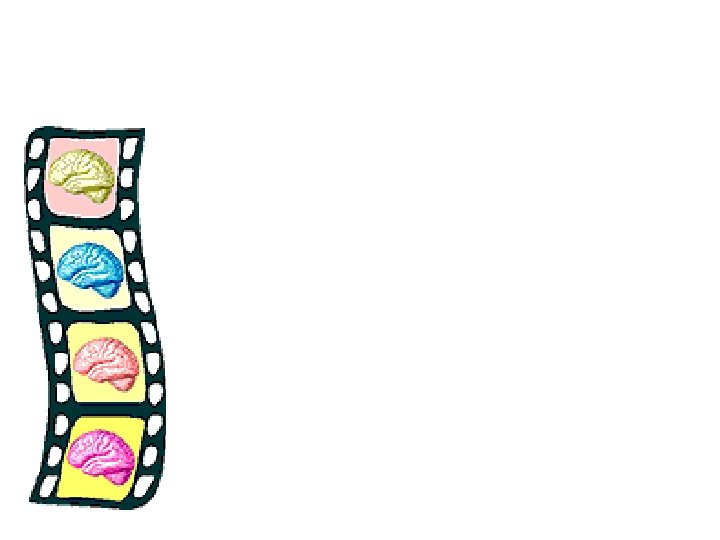 Brain Plasticity • The ability of the brain to reorganize neural pathways based on