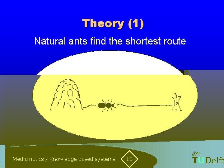 Theory (1) Natural ants find the shortest route Mediamatics / Knowledge based systems 10