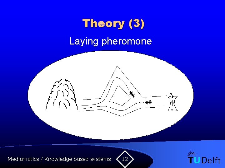 Theory (3) Laying pheromone Mediamatics / Knowledge based systems 12 
