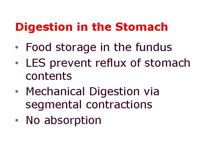 Digestion in the Stomach • Food storage in the fundus • LES prevent reflux