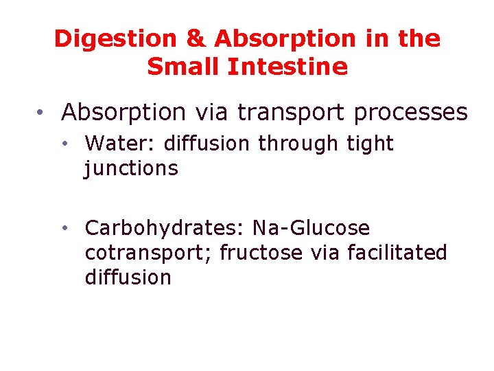 Digestion & Absorption in the Small Intestine • Absorption via transport processes • Water:
