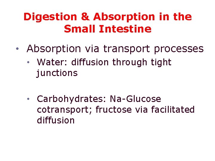 Digestion & Absorption in the Small Intestine • Absorption via transport processes • Water: Digestion & Absorption in the Small Intestine • Absorption via transport processes • Water: