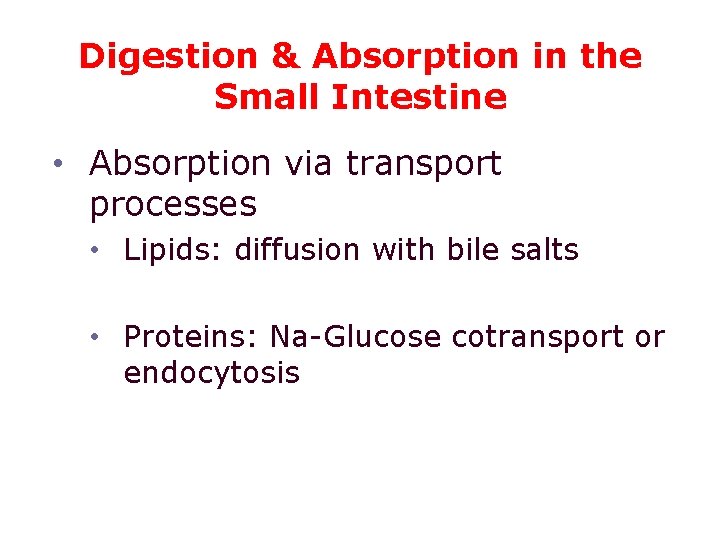 Digestion & Absorption in the Small Intestine • Absorption via transport processes • Lipids: