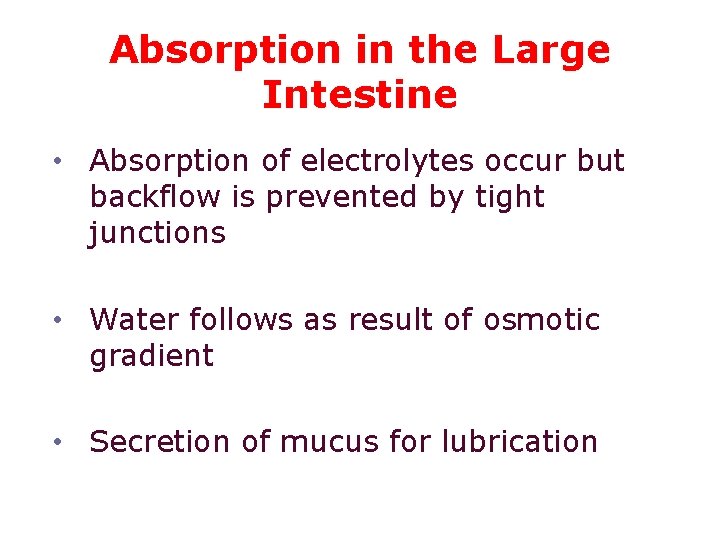 Absorption in the Large Intestine • Absorption of electrolytes occur but backflow is prevented
