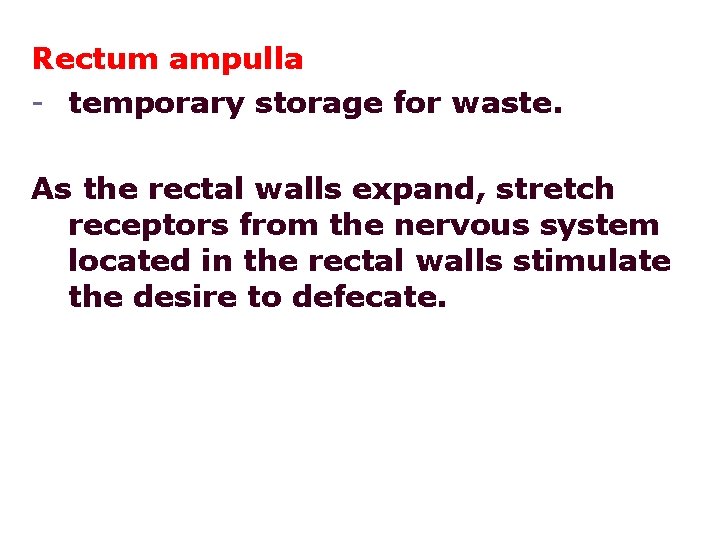 Rectum ampulla - temporary storage for waste. As the rectal walls expand, stretch receptors