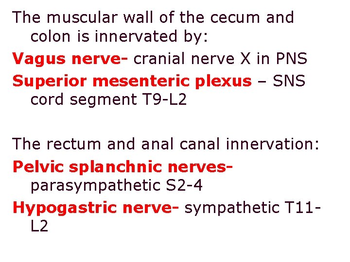 The muscular wall of the cecum and colon is innervated by: Vagus nerve- cranial