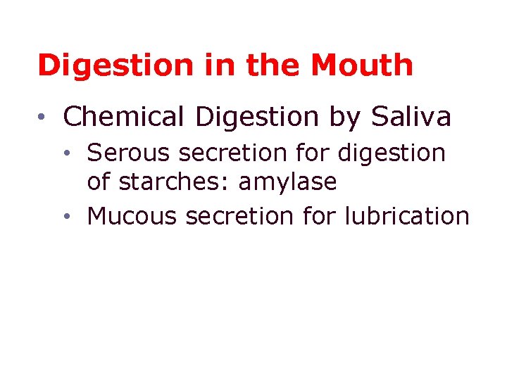 Digestion in the Mouth • Chemical Digestion by Saliva • Serous secretion for digestion Digestion in the Mouth • Chemical Digestion by Saliva • Serous secretion for digestion