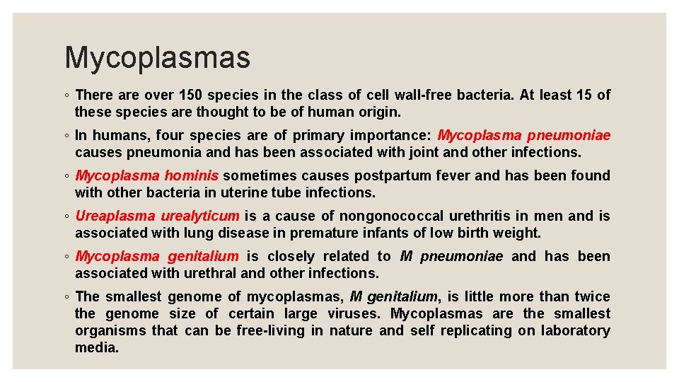 Mycoplasmas ◦ There are over 150 species in the class of cell wall-free bacteria.