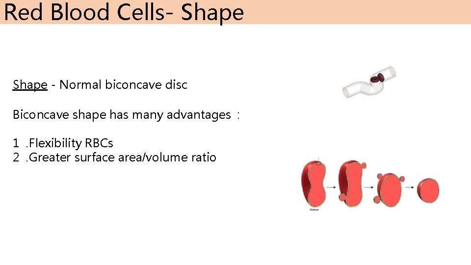 Red Blood Cells- Shape - Normal biconcave disc Biconcave shape has many advantages :