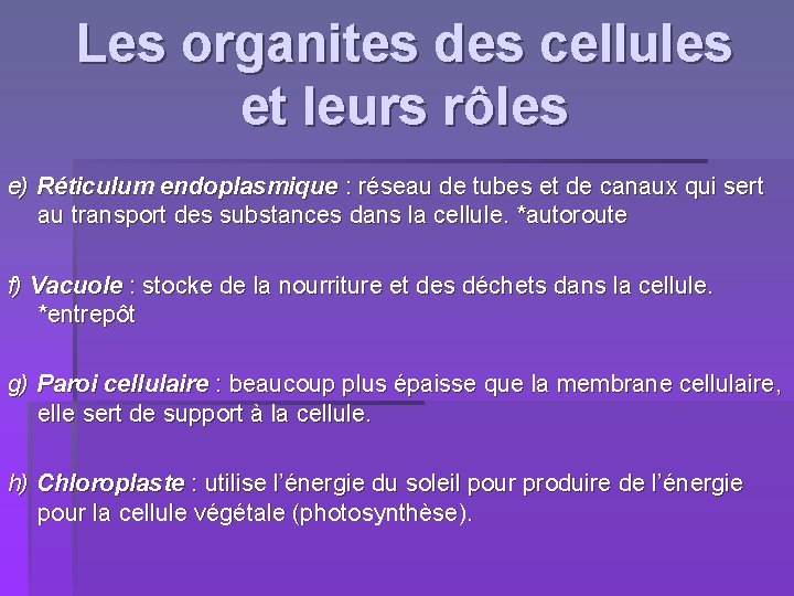 Les organites des cellules et leurs rôles e) Réticulum endoplasmique : réseau de tubes