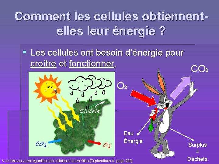 Comment les cellules obtiennentelles leur énergie ? § Les cellules ont besoin d’énergie pour