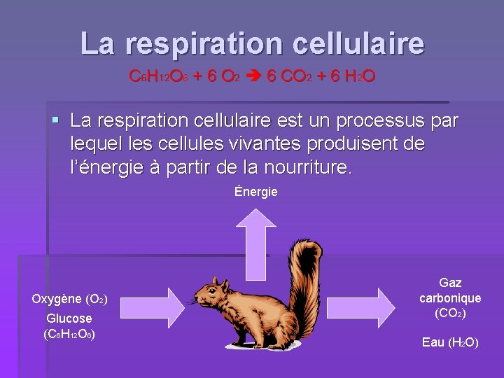 La respiration cellulaire C 6 H 12 O 6 + 6 O 2 6