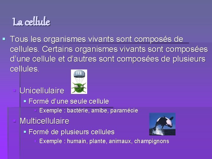 La cellule § Tous les organismes vivants sont composés de cellules. Certains organismes vivants