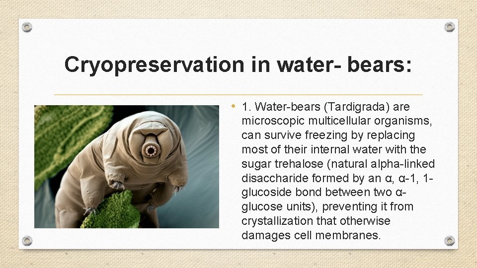 Cryopreservation in water- bears: • 1. Water-bears (Tardigrada) are microscopic multicellular organisms, can survive