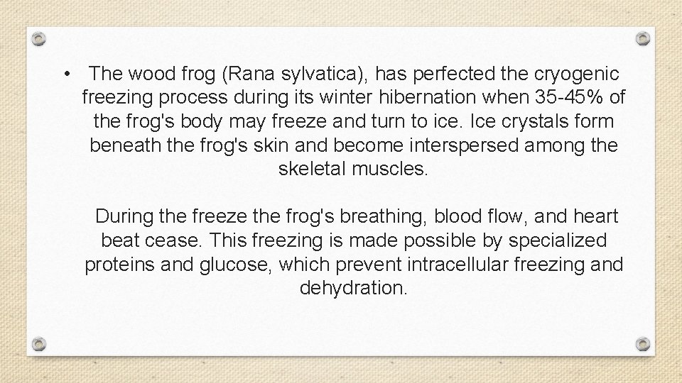  • The wood frog (Rana sylvatica), has perfected the cryogenic freezing process during