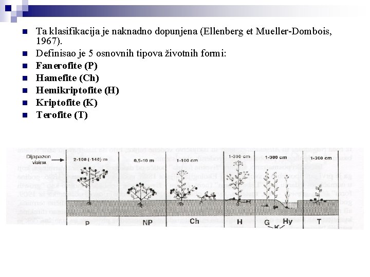 n n n n Ta klasifikacija je naknadno dopunjena (Ellenberg et Mueller-Dombois, 1967). Definisao