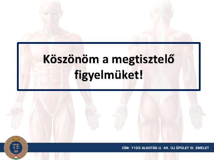 Köszönöm a megtisztelő figyelmüket! 