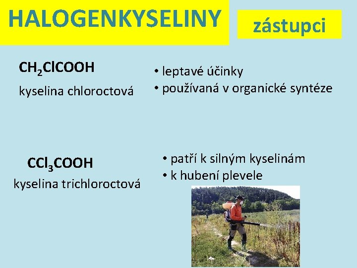 HALOGENKYSELINY CH 2 Cl. COOH kyselina chloroctová CCl 3 COOH kyselina trichloroctová zástupci •