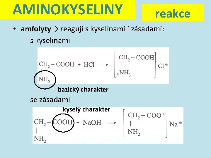 AMINOKYSELINY reakce • amfolyty→ reagují s kyselinami i zásadami: – s kyselinami bazický charakter