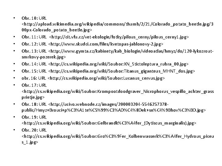  • • • Obr. 10: URL <http: //upload. wikimedia. org/wikipedia/commons/thumb/2/21/Colorado_potato_beetle. jpg/3 00 px-Colorado_potato_beetle.