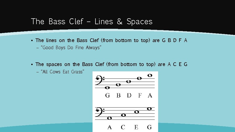 The Bass Clef – Lines & Spaces ▪ The lines on the Bass Clef