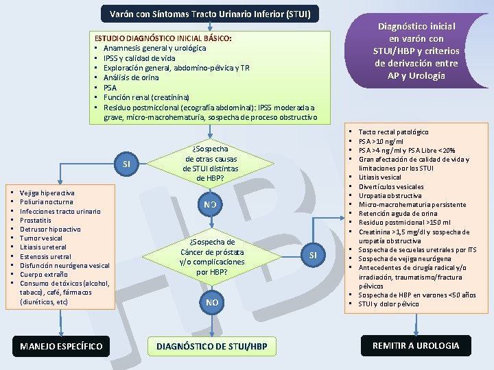 Varón con Síntomas Tracto Urinario Inferior (STUI) Diagnóstico inicial en varón con STUI/HBP y