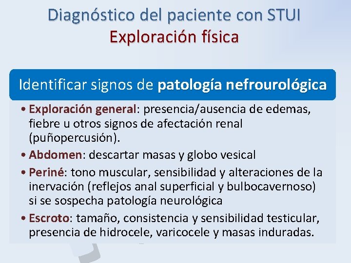 Diagnóstico del paciente con STUI Exploración física P B H Identificar signos de patología