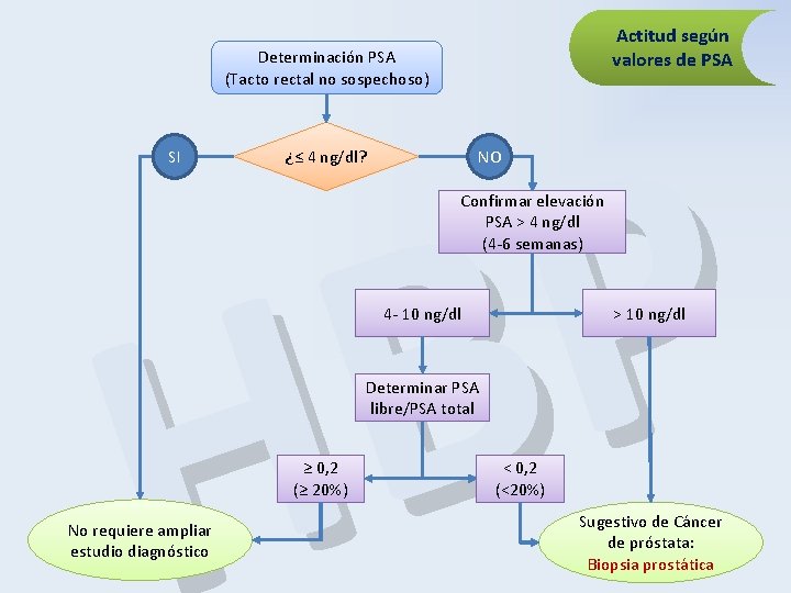 Actitud según valores de PSA Determinación PSA (Tacto rectal no sospechoso) P B H