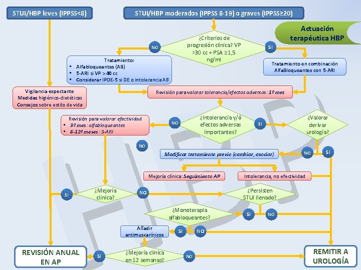 STUI/HBP leves (IPPSS<8) STUI/HBP moderados (IPPSS 8 -19) o graves (IPPSS≥ 20) Actuación terapéutica