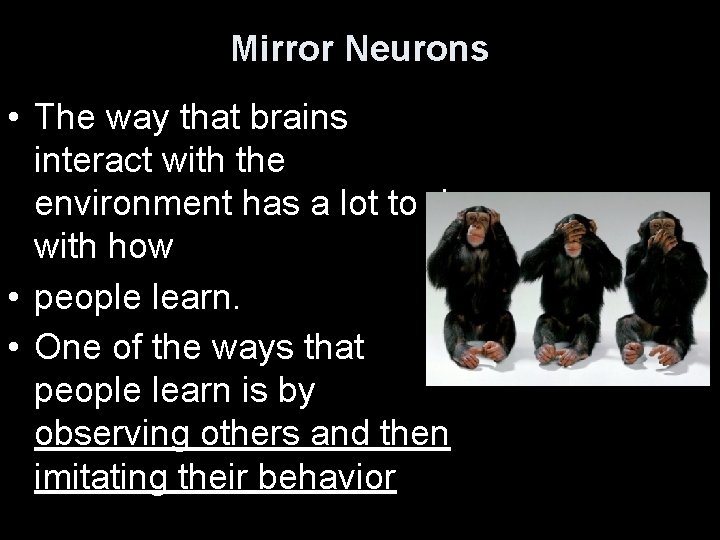Mirror Neurons • The way that brains interact with the environment has a lot