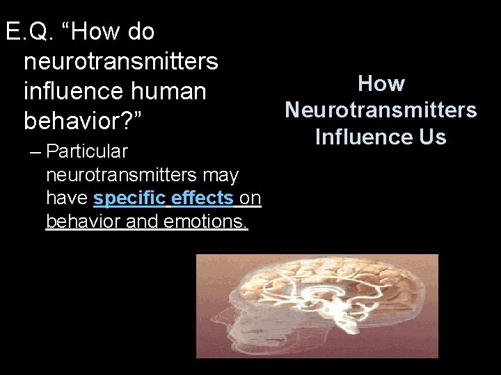 E. Q. “How do neurotransmitters influence human behavior? ” – Particular neurotransmitters may have
