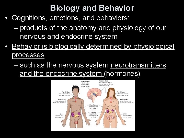 Biology and Behavior • Cognitions, emotions, and behaviors: – products of the anatomy and