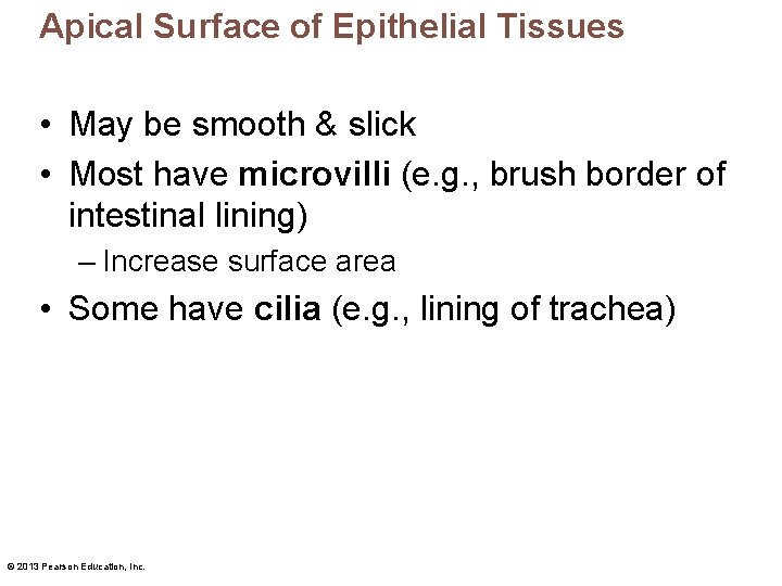 Apical Surface of Epithelial Tissues • May be smooth & slick • Most have