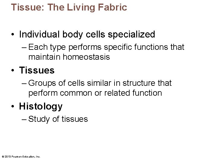 Tissue: The Living Fabric • Individual body cells specialized – Each type performs specific