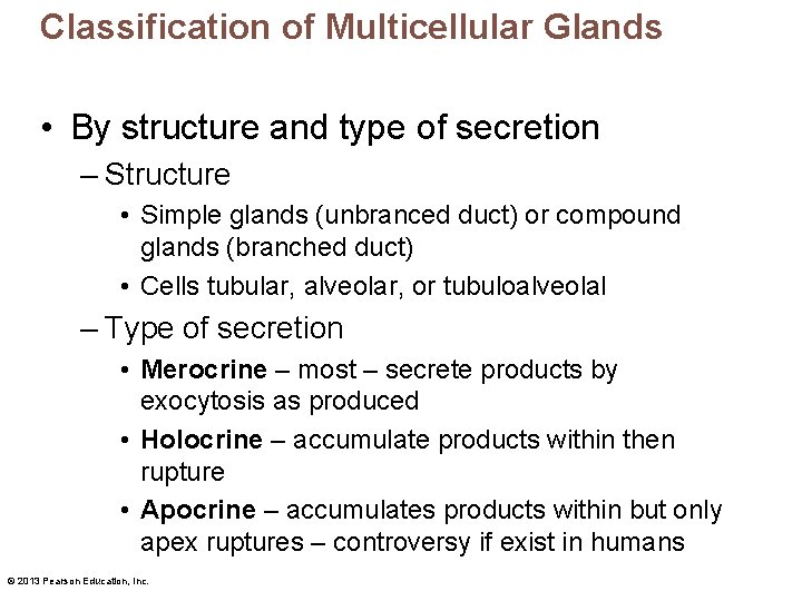 Classification of Multicellular Glands • By structure and type of secretion – Structure •